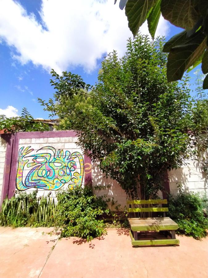 San Cristóbal de Las Casas Lipi House Hostel المظهر الخارجي الصورة