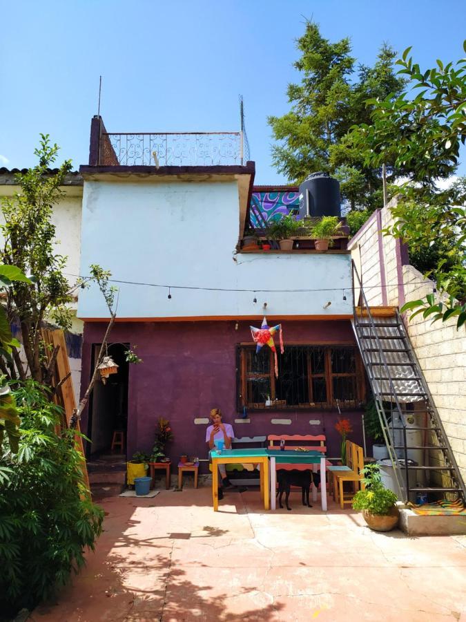 San Cristóbal de Las Casas Lipi House Hostel المظهر الخارجي الصورة