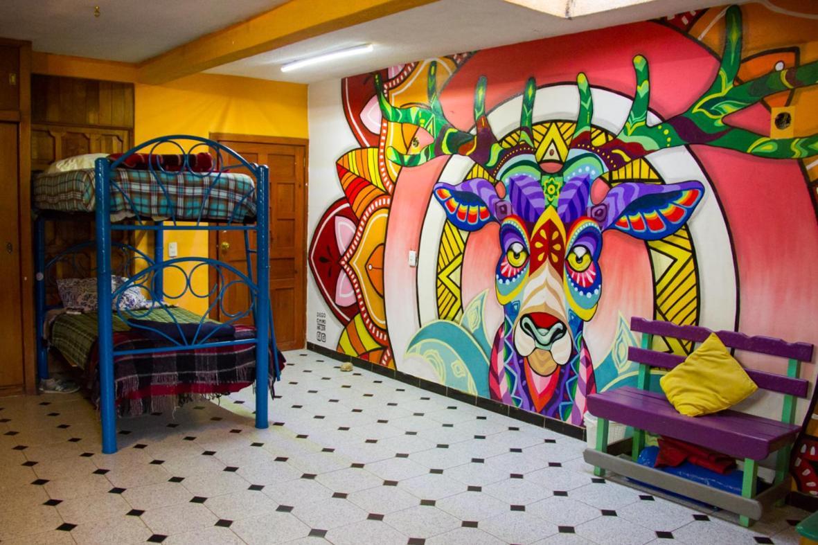 San Cristóbal de Las Casas Lipi House Hostel المظهر الخارجي الصورة